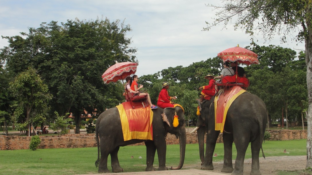 Os elefantes são animais muito importantes em toda a história do Sudeste Asiático. Em Ayutthaya, foram a força que possibilitaram a construção de templos tão grandiosos.
