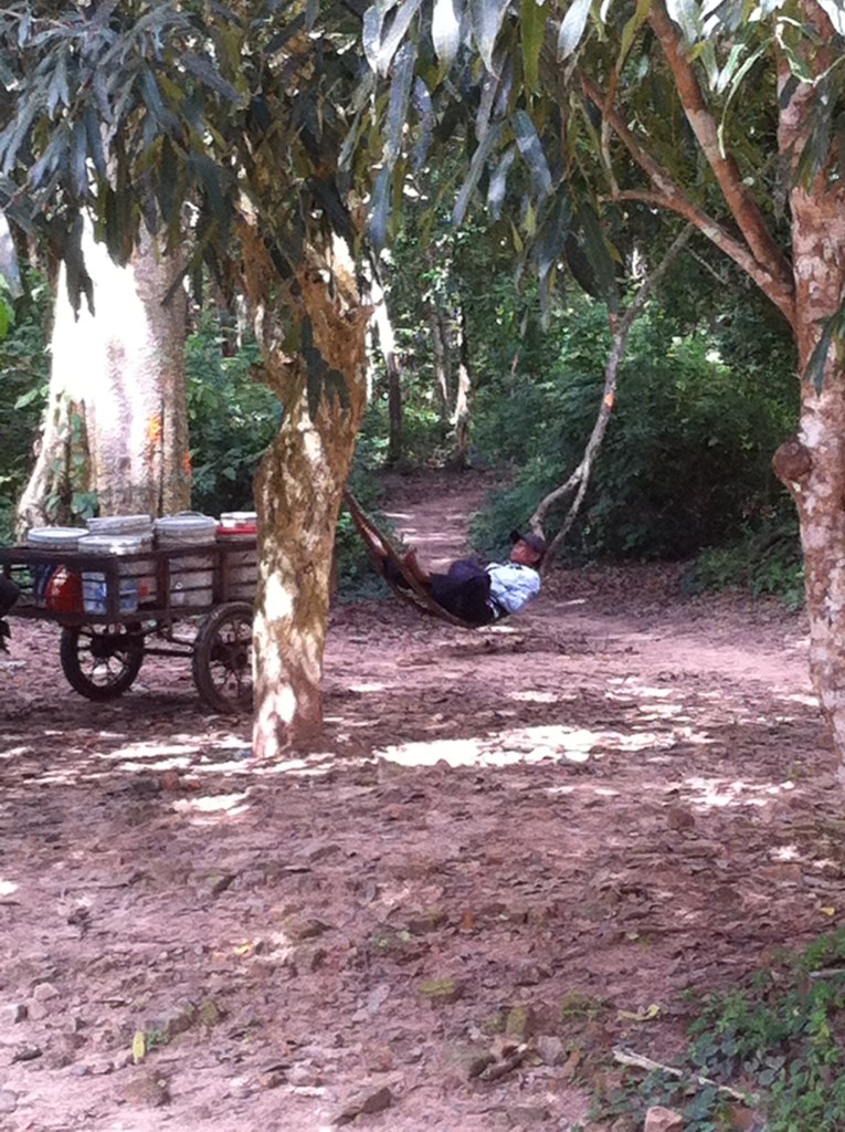 Com o calor, a umidade e o sol de rachar nos templos até mesmo um cipó vira rede.