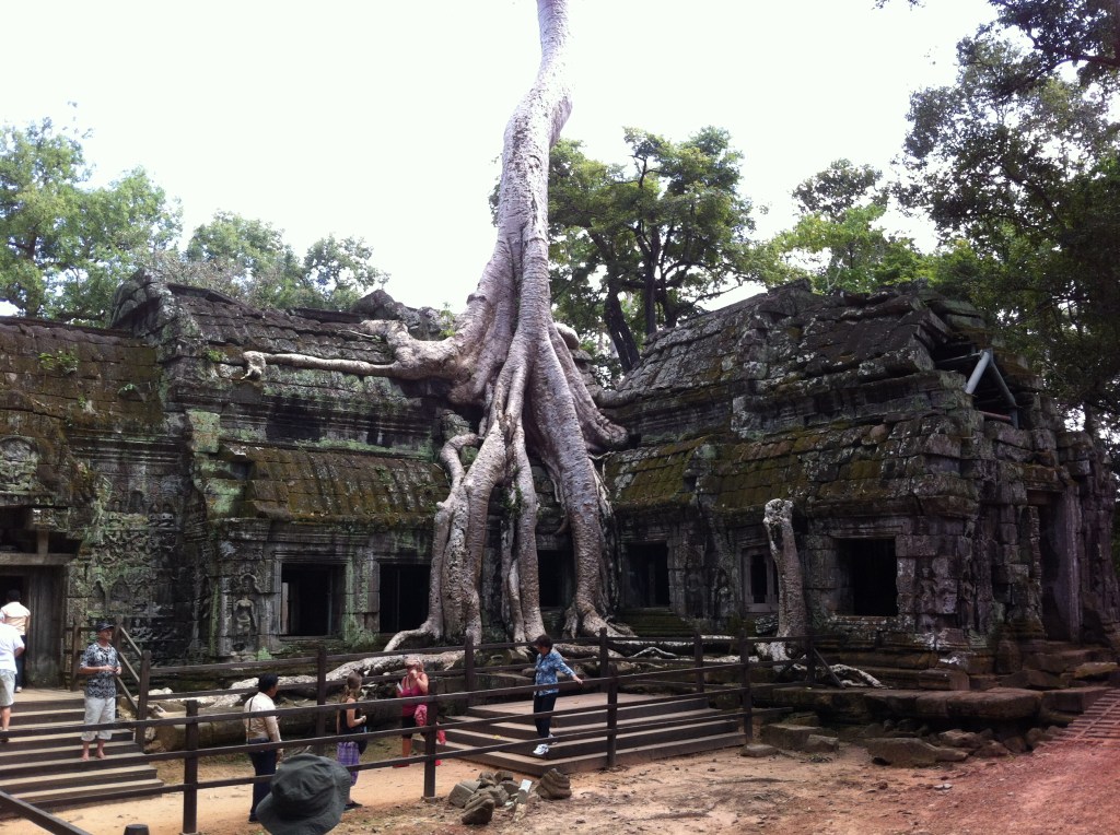 Templo de Ta Prohm um dos mais pitorescos do complexo, foi construído pelo Rei Jayavarman VII e dedicado a sua mãe em honra a Prajnaparamita a deusa da sabedoria no Budismo.
