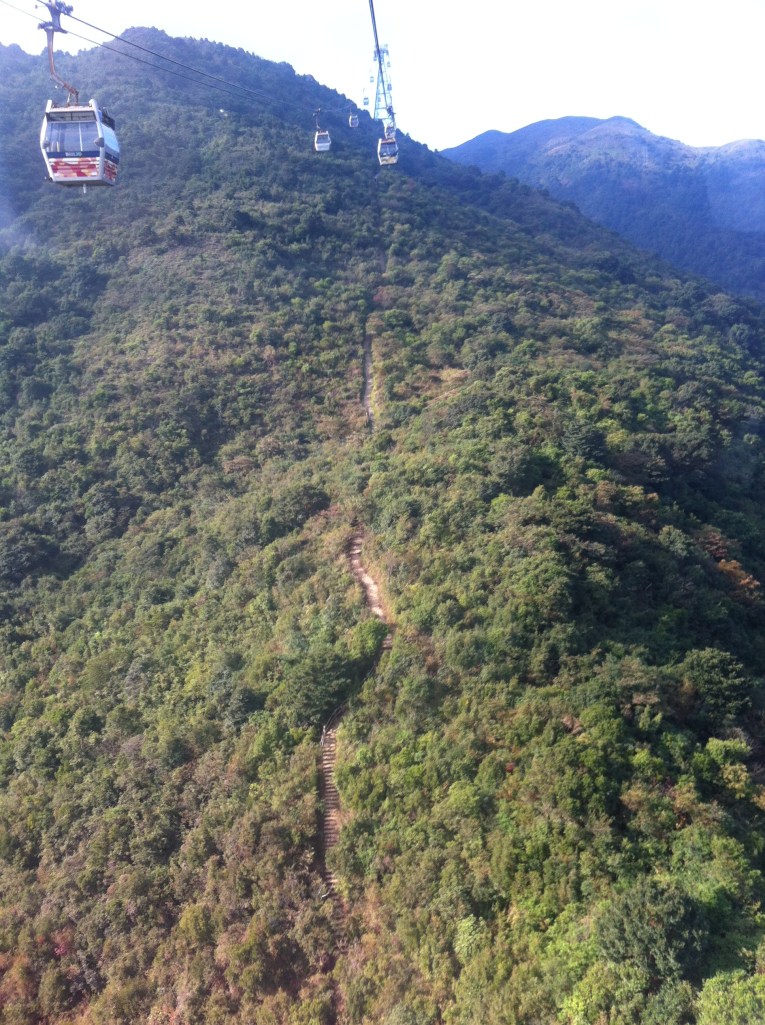Caminho do teleférico com opções de trilhas por terra.