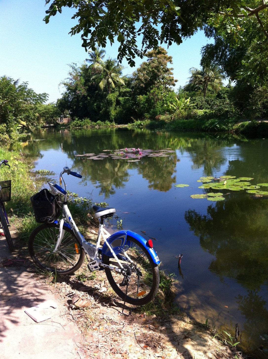 Agradável passeio de bike pelos arredores da escola.
