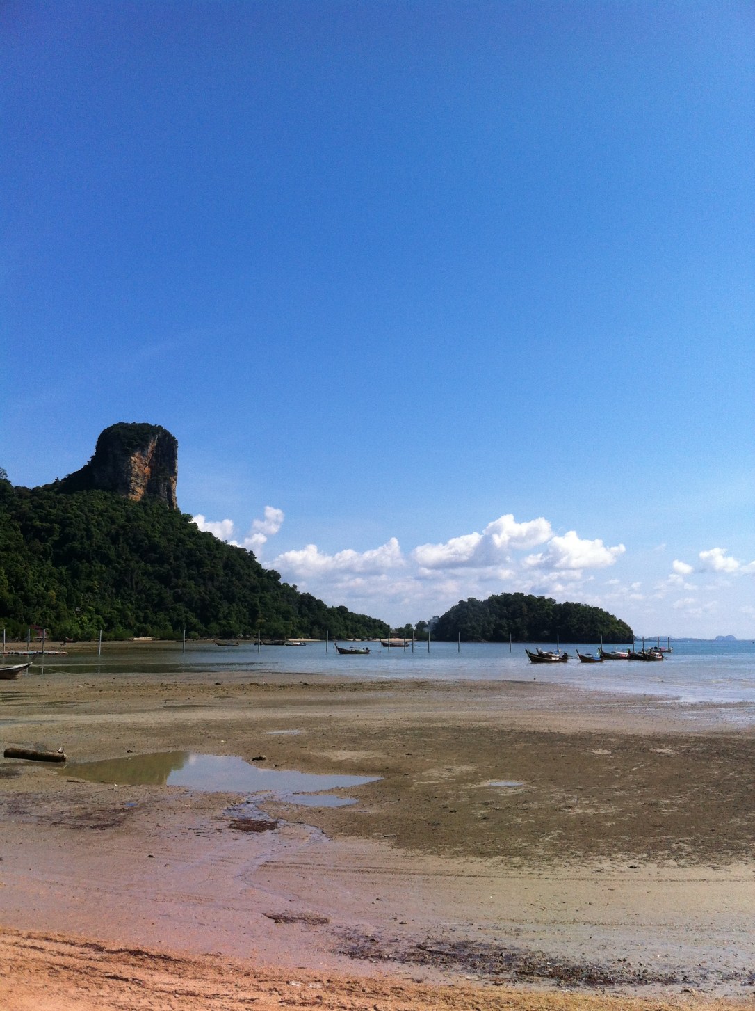O mangue de Railay East