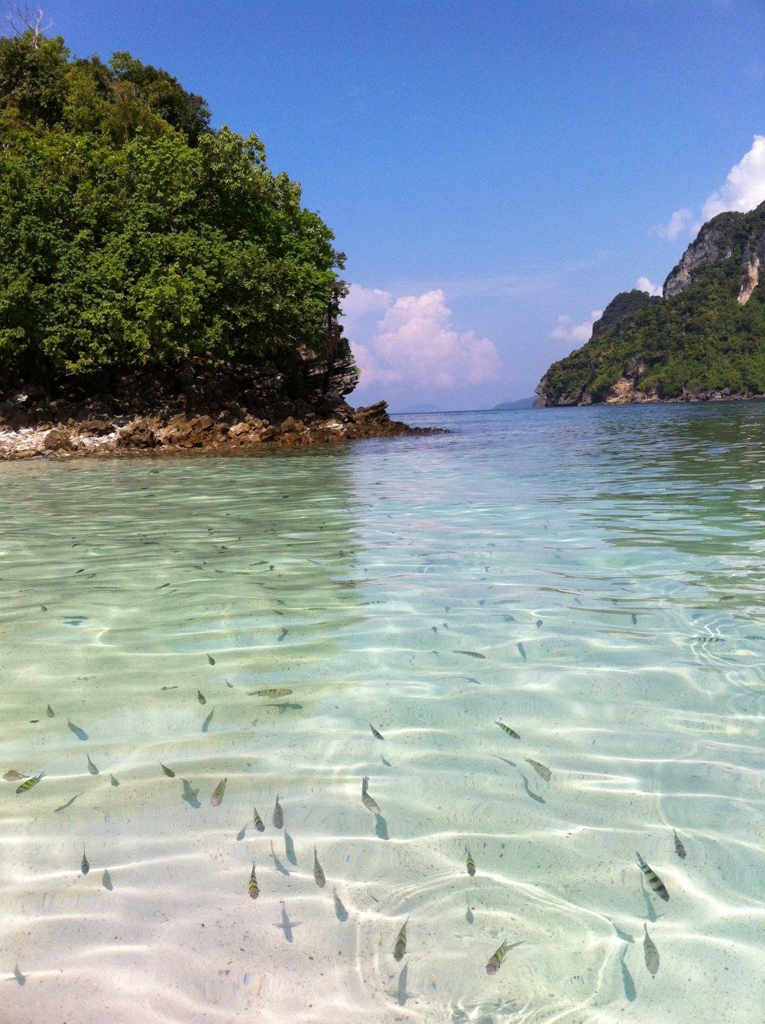 Como não se encantar com essa paisagem e nadar com os peixinhos (Tup Island)