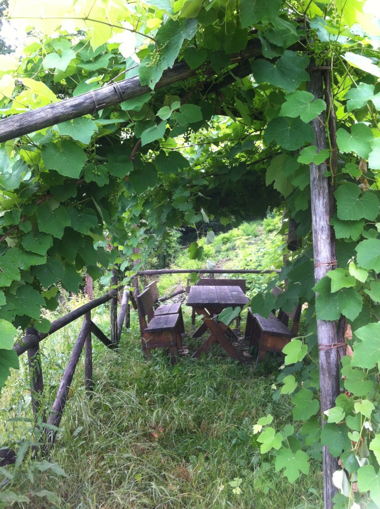 O banquete do casamento no parreiral que sonhei :-)