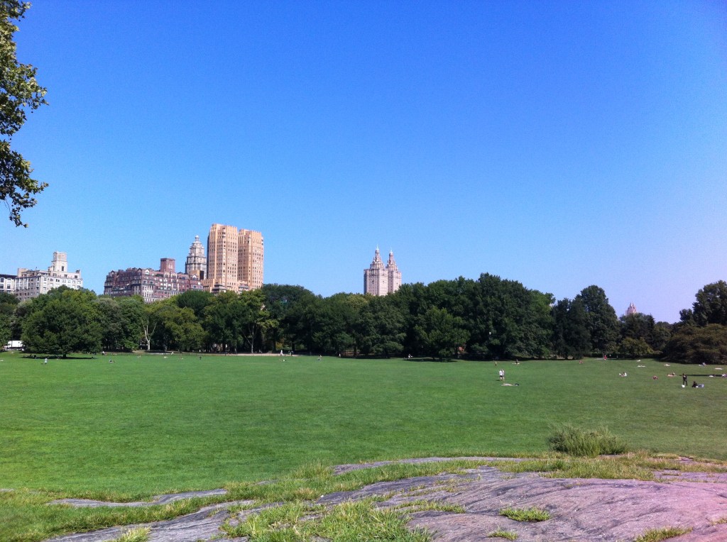 Um cantinho do Central Park.