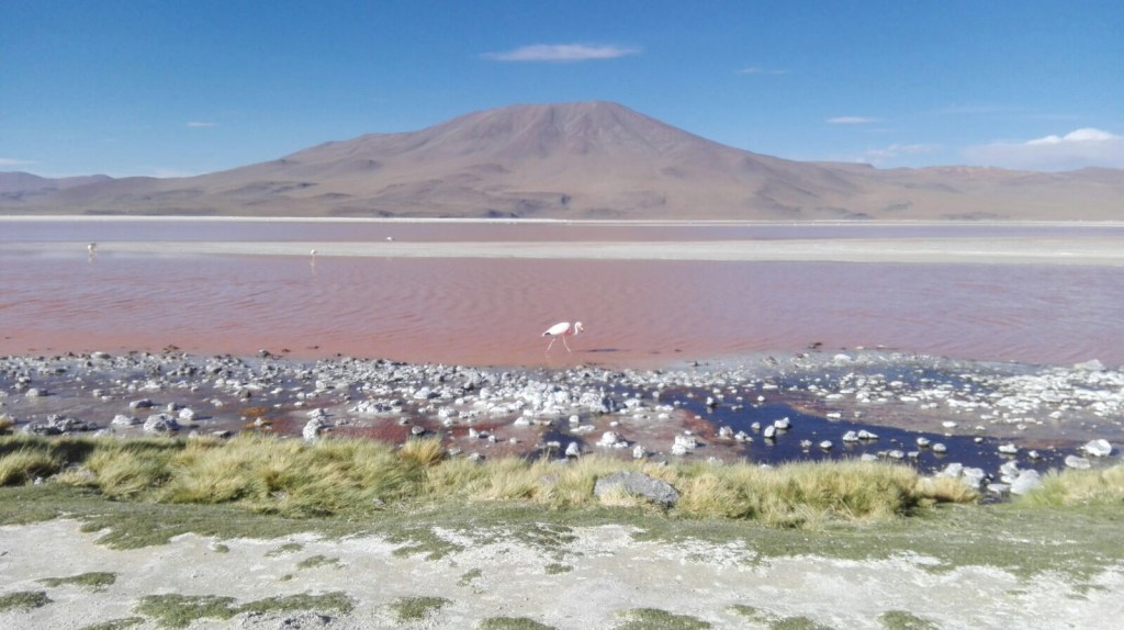Lagoa Colorada com os flamingos.
